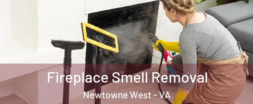 Fireplace Smell Removal Newtowne West - VA