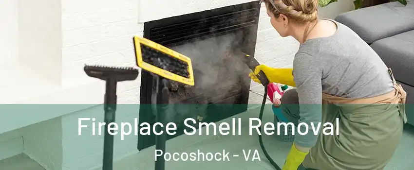 Fireplace Smell Removal Pocoshock - VA