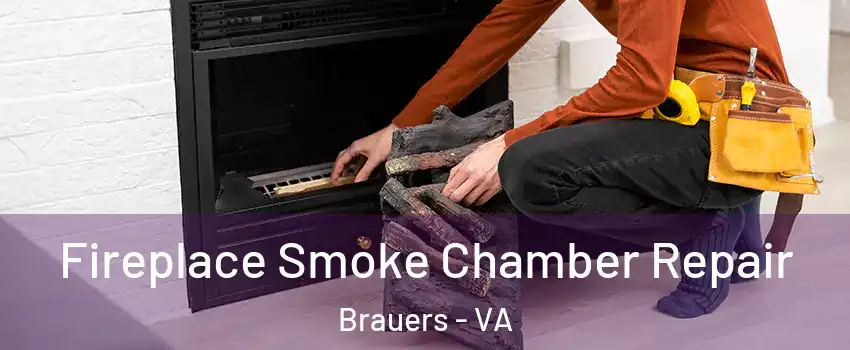 Fireplace Smoke Chamber Repair Brauers - VA