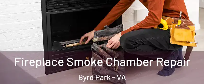 Fireplace Smoke Chamber Repair Byrd Park - VA