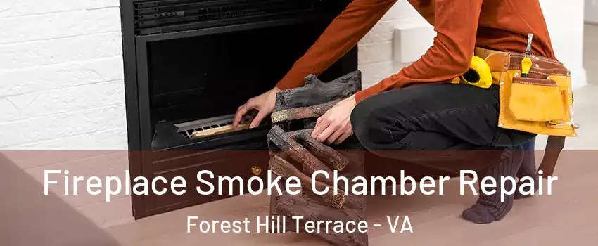Fireplace Smoke Chamber Repair Forest Hill Terrace - VA