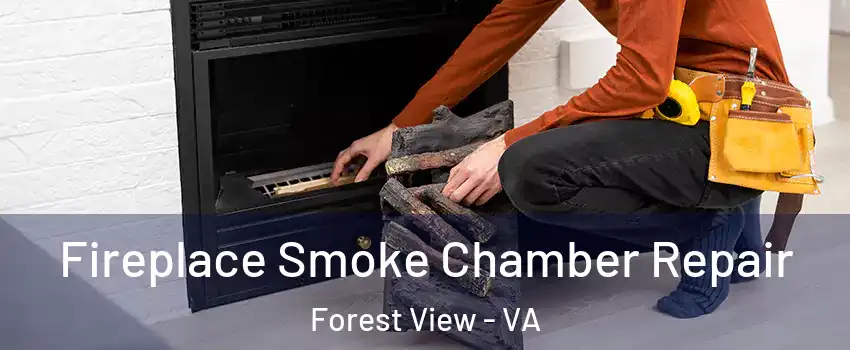 Fireplace Smoke Chamber Repair Forest View - VA