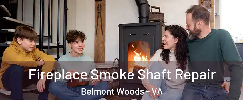 Fireplace Smoke Shaft Repair Belmont Woods - VA