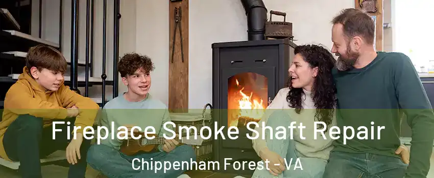 Fireplace Smoke Shaft Repair Chippenham Forest - VA