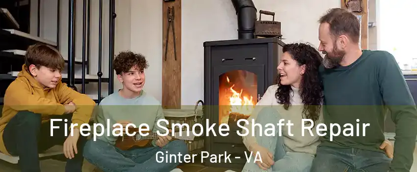 Fireplace Smoke Shaft Repair Ginter Park - VA