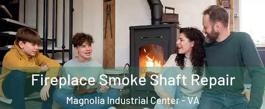 Fireplace Smoke Shaft Repair Magnolia Industrial Center - VA
