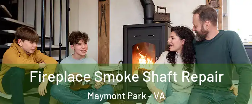 Fireplace Smoke Shaft Repair Maymont Park - VA