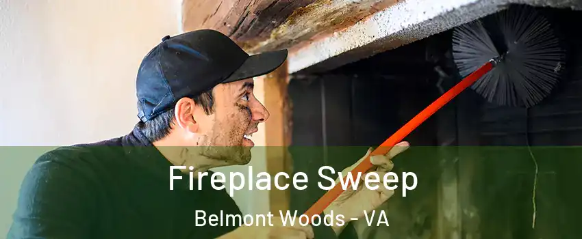 Fireplace Sweep Belmont Woods - VA