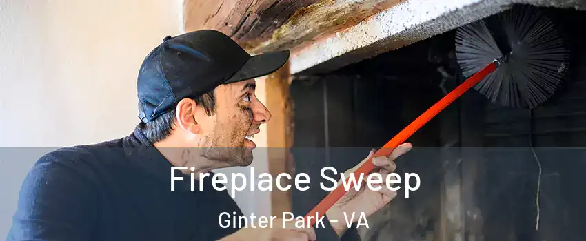 Fireplace Sweep Ginter Park - VA