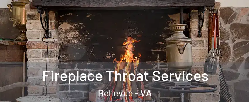 Fireplace Throat Services Bellevue - VA