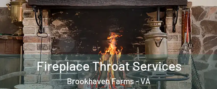Fireplace Throat Services Brookhaven Farms - VA