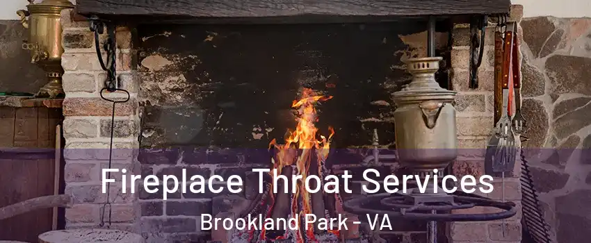 Fireplace Throat Services Brookland Park - VA