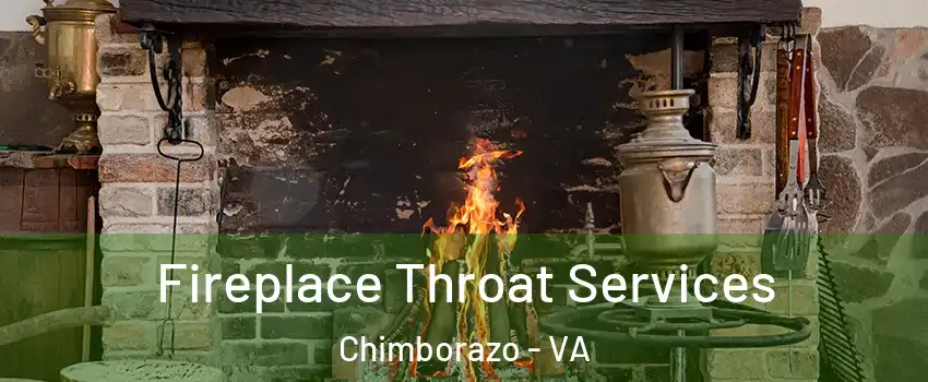 Fireplace Throat Services Chimborazo - VA