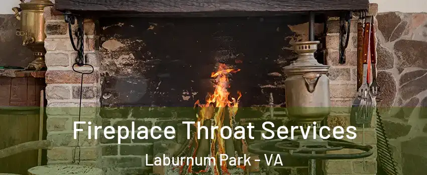 Fireplace Throat Services Laburnum Park - VA