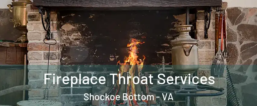 Fireplace Throat Services Shockoe Bottom - VA