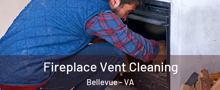 Fireplace Vent Cleaning Bellevue - VA