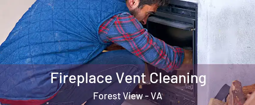 Fireplace Vent Cleaning Forest View - VA