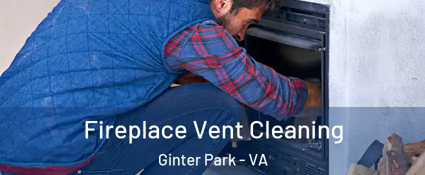 Fireplace Vent Cleaning Ginter Park - VA