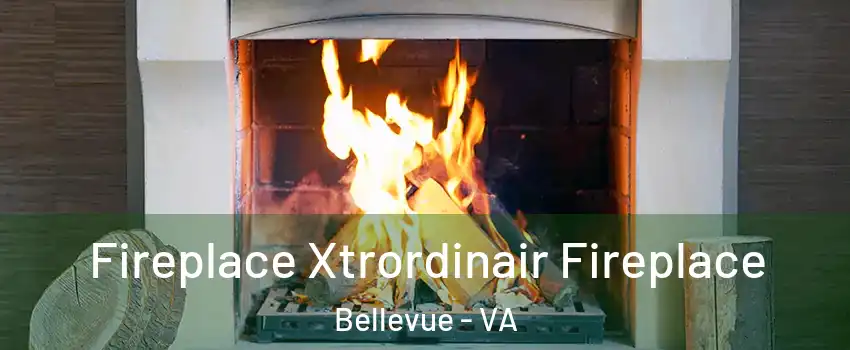 Fireplace Xtrordinair Fireplace Bellevue - VA
