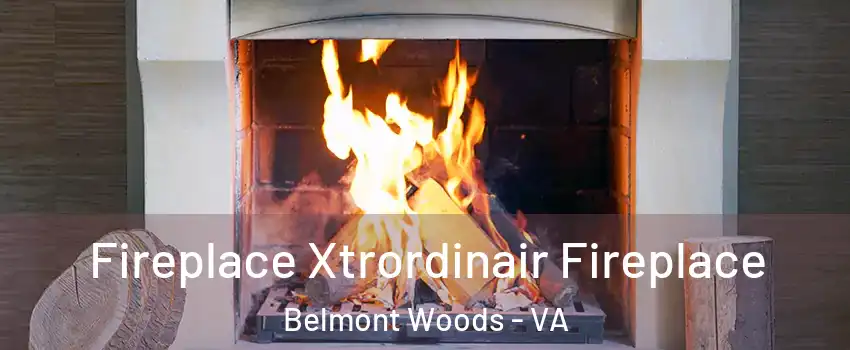Fireplace Xtrordinair Fireplace Belmont Woods - VA