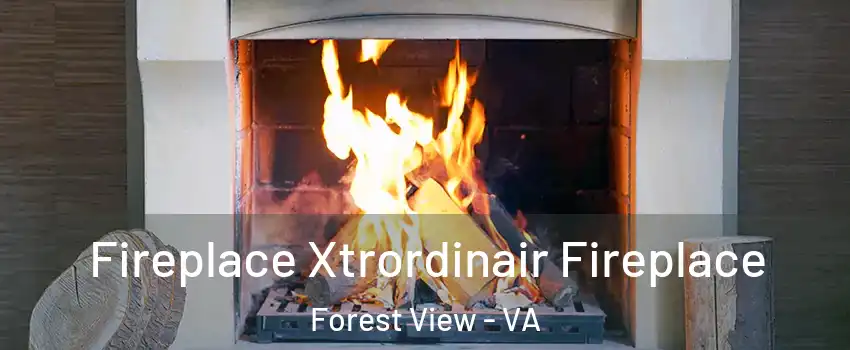 Fireplace Xtrordinair Fireplace Forest View - VA