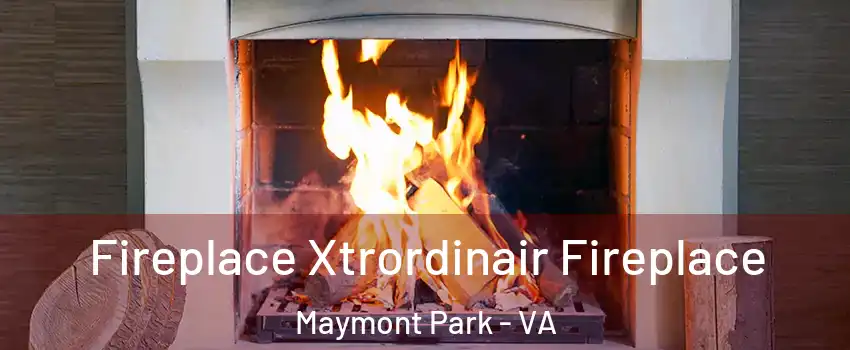 Fireplace Xtrordinair Fireplace Maymont Park - VA
