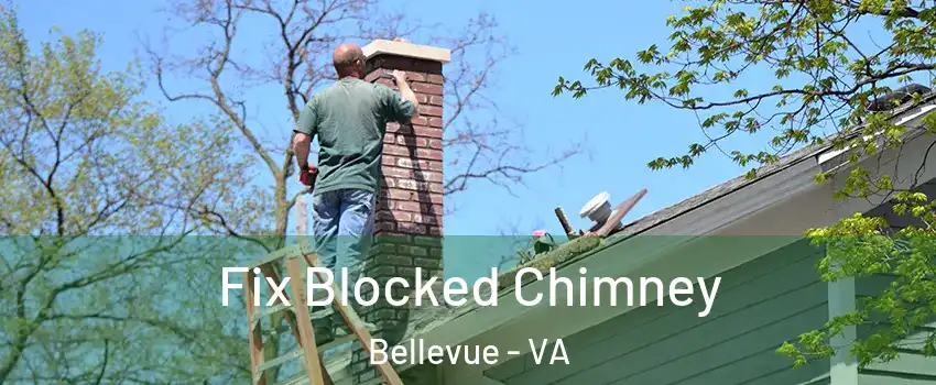 Fix Blocked Chimney Bellevue - VA