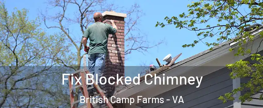 Fix Blocked Chimney British Camp Farms - VA