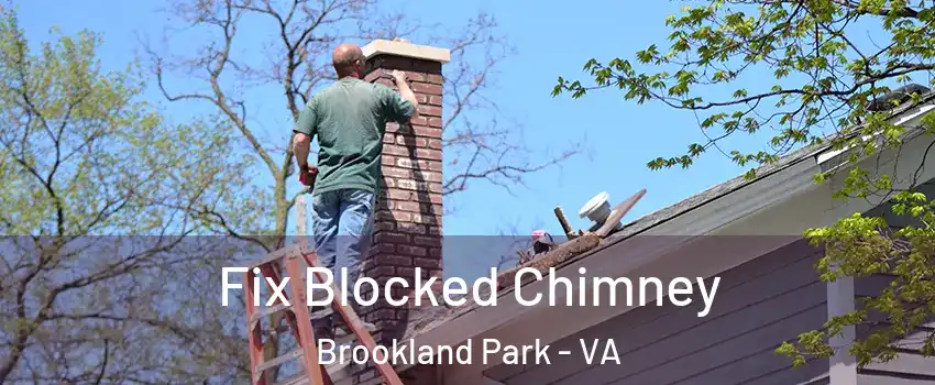 Fix Blocked Chimney Brookland Park - VA
