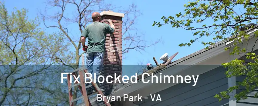 Fix Blocked Chimney Bryan Park - VA