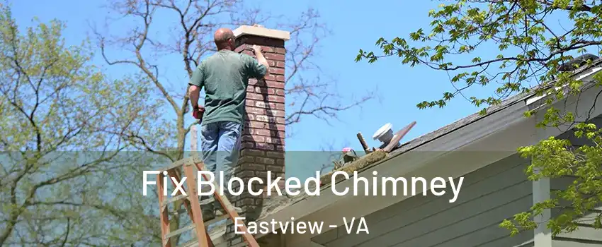 Fix Blocked Chimney Eastview - VA