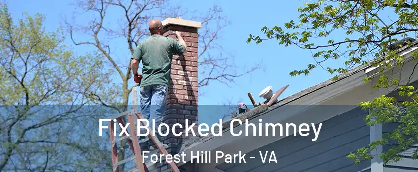 Fix Blocked Chimney Forest Hill Park - VA