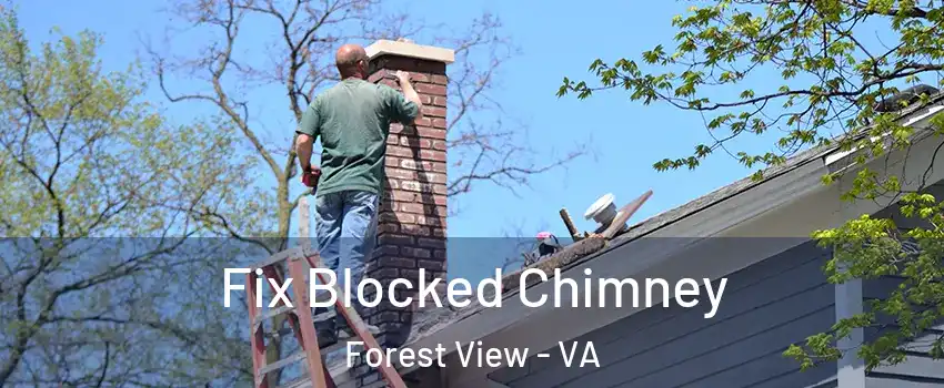 Fix Blocked Chimney Forest View - VA