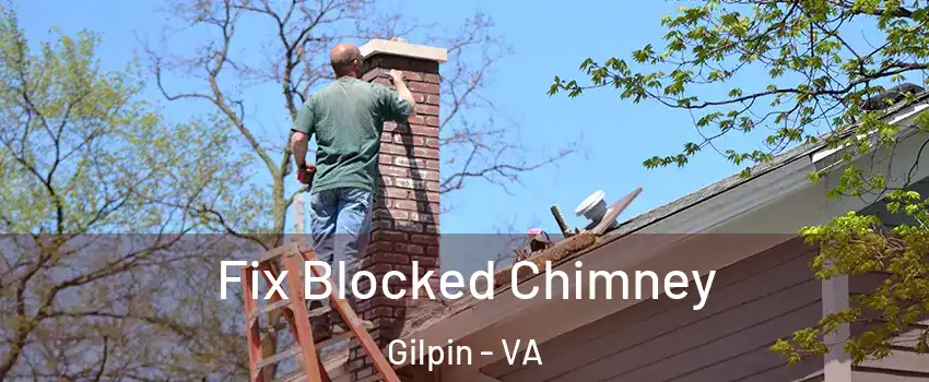 Fix Blocked Chimney Gilpin - VA