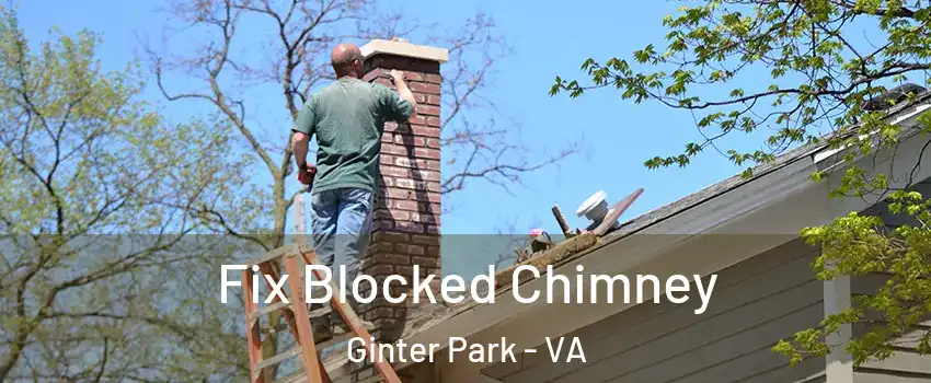 Fix Blocked Chimney Ginter Park - VA