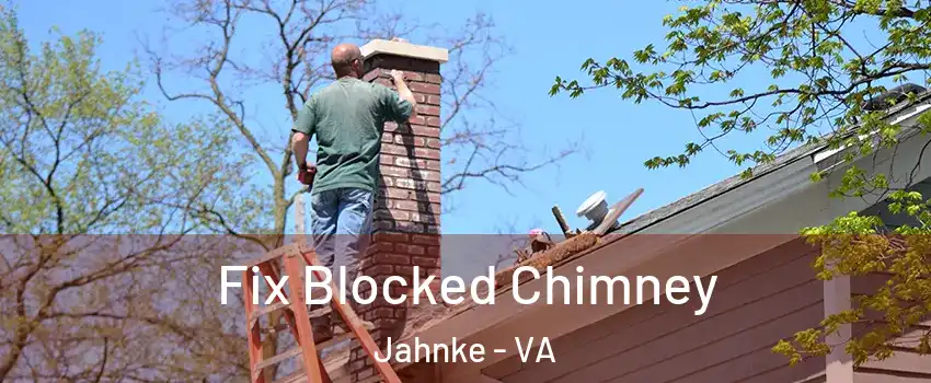 Fix Blocked Chimney Jahnke - VA