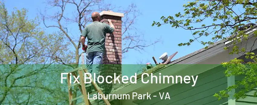 Fix Blocked Chimney Laburnum Park - VA