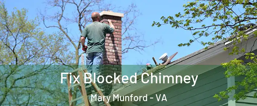 Fix Blocked Chimney Mary Munford - VA