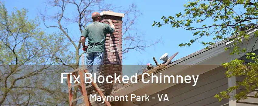 Fix Blocked Chimney Maymont Park - VA