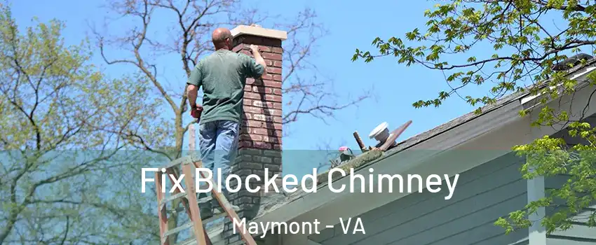 Fix Blocked Chimney Maymont - VA