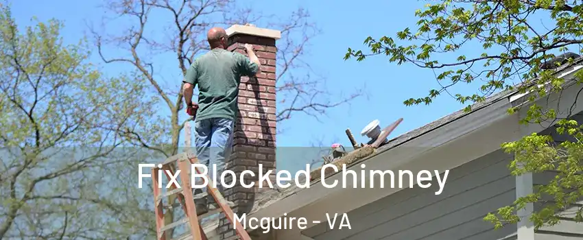 Fix Blocked Chimney Mcguire - VA