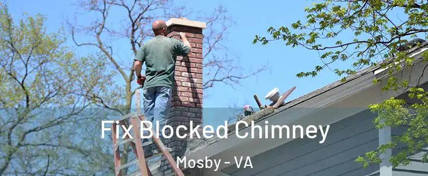 Fix Blocked Chimney Mosby - VA