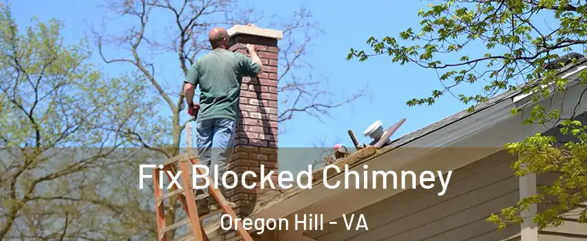 Fix Blocked Chimney Oregon Hill - VA