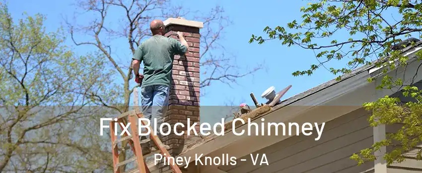 Fix Blocked Chimney Piney Knolls - VA