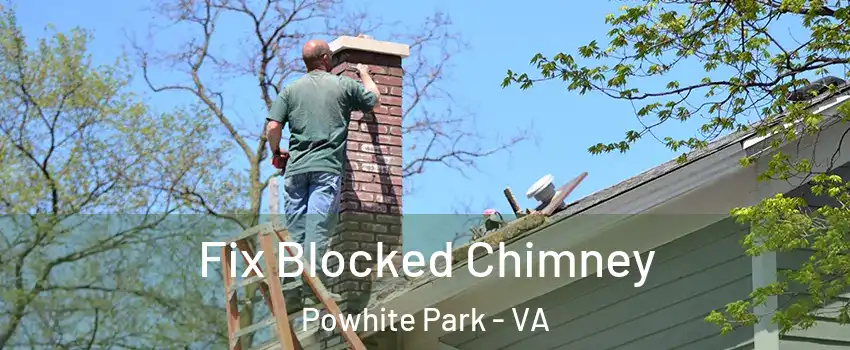 Fix Blocked Chimney Powhite Park - VA