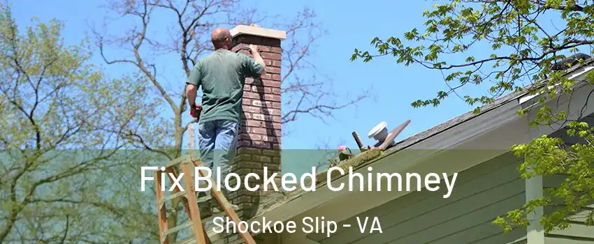 Fix Blocked Chimney Shockoe Slip - VA