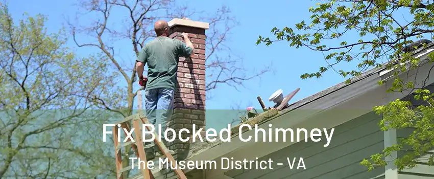 Fix Blocked Chimney The Museum District - VA