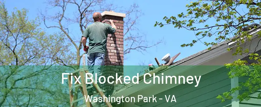 Fix Blocked Chimney Washington Park - VA