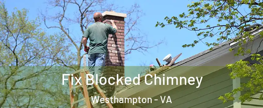 Fix Blocked Chimney Westhampton - VA