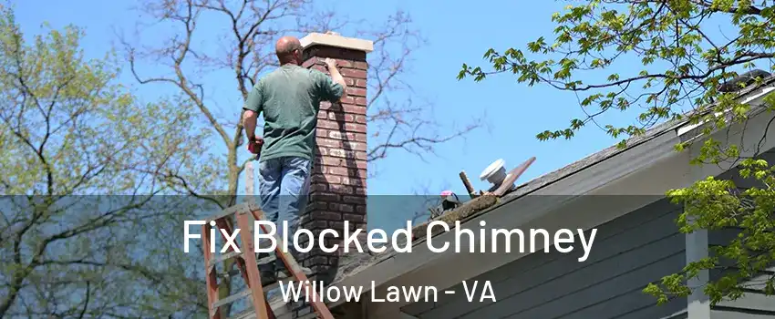 Fix Blocked Chimney Willow Lawn - VA